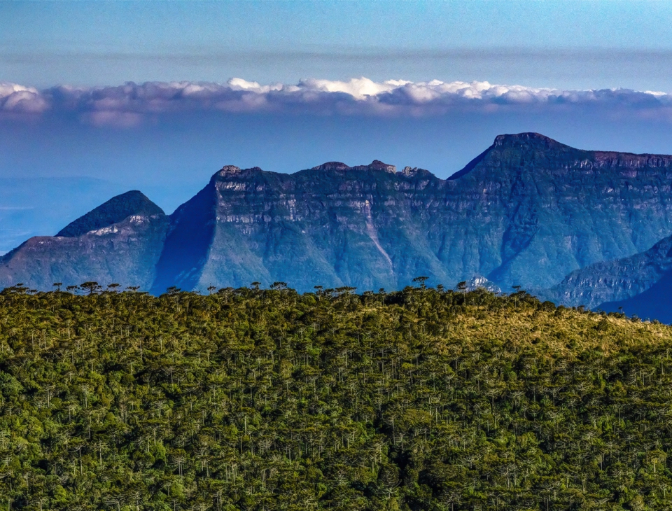 Vista das montanhas na laje de pedra com vegetação nativa.